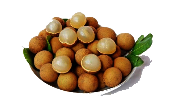 Modelo del cultivo de longan según el estándar VietGAP